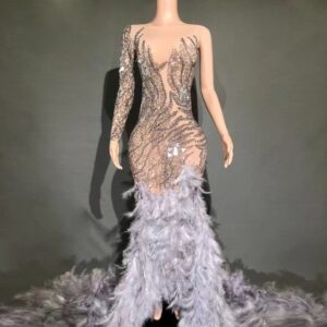 Silver Diamond Encrusted Transparent Feathered Gown